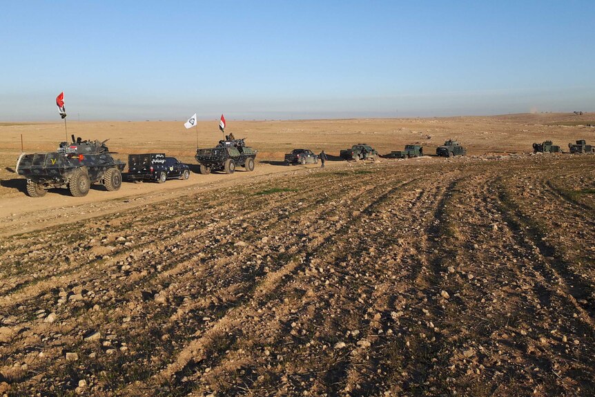 A string of military vehicles drive along a desert road