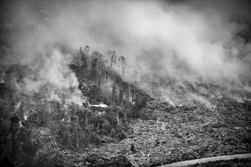 A black and white image of a harvested forest with fire burning and a helicopter flying over it