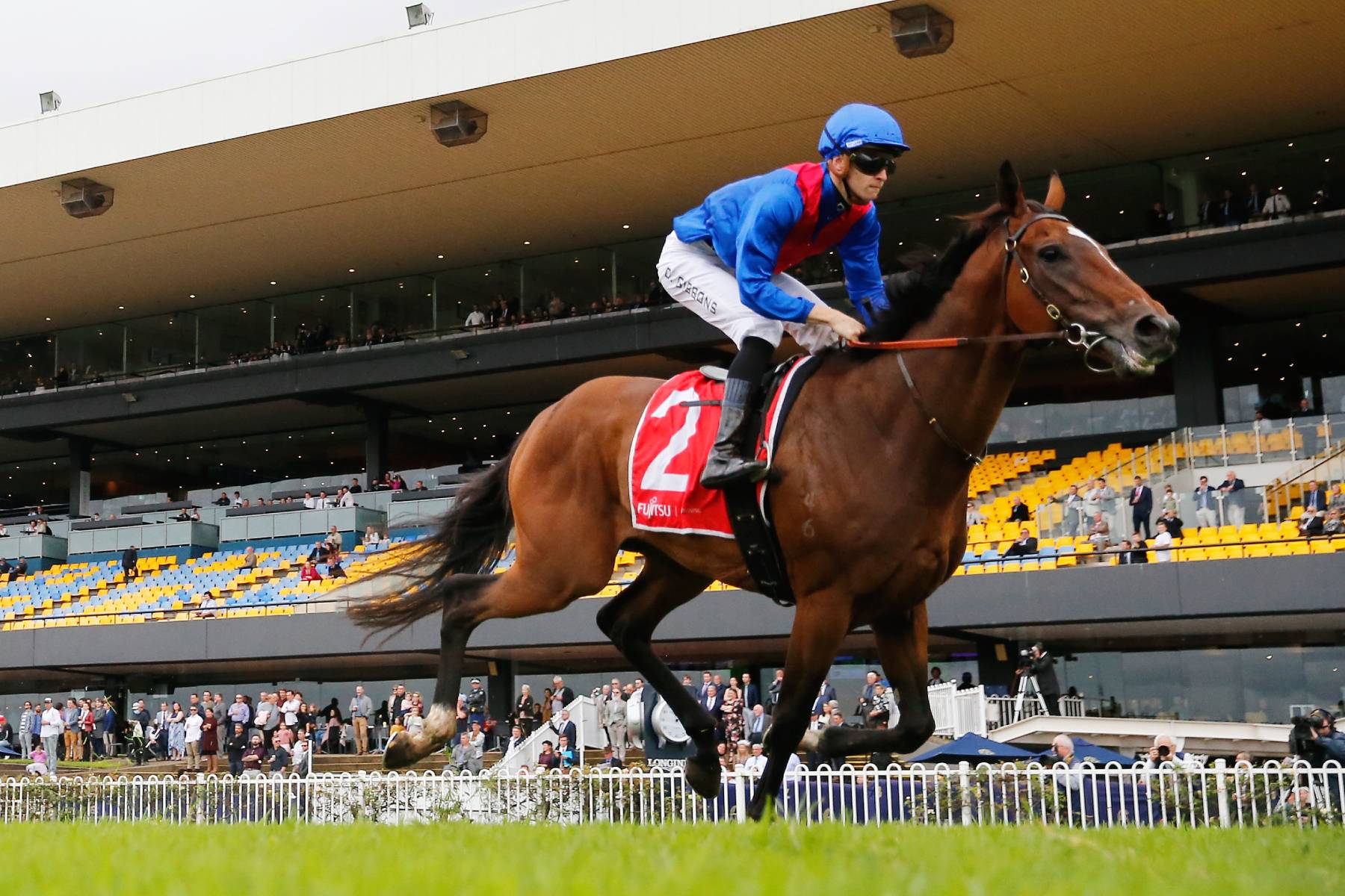 Melbourne Cup 2022: Field, Horses, Form Guide And Finishing Order - ABC ...