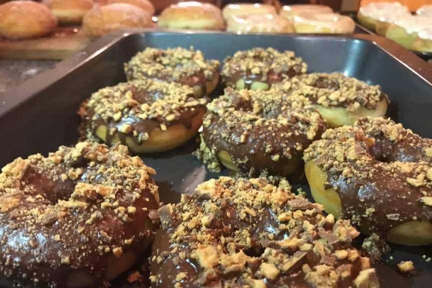 Doughnuts with assorted glazes and even peppermint crisp topping fill the bench-space in a kitchen