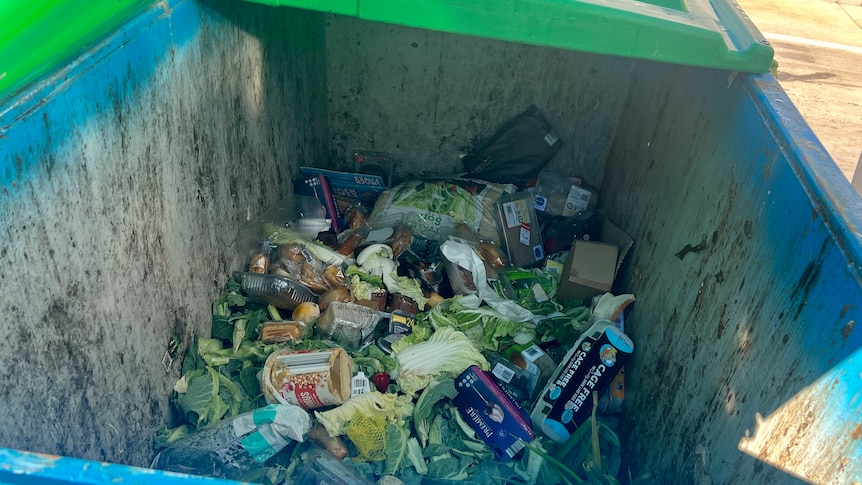 Discarded food in a dumpster.