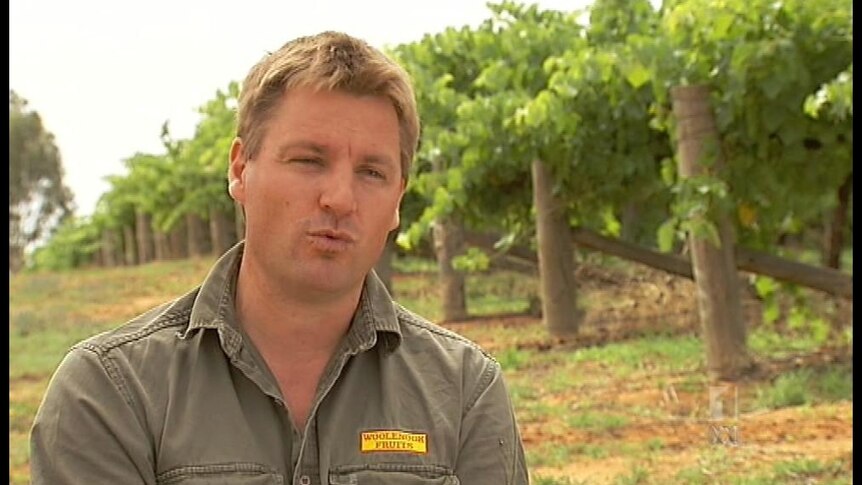 Ben Haslett says SA Murray irrigators are worried