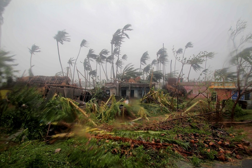 Damaged structures and uprooted tress can be seen in an area devastated during a powerful cyclone