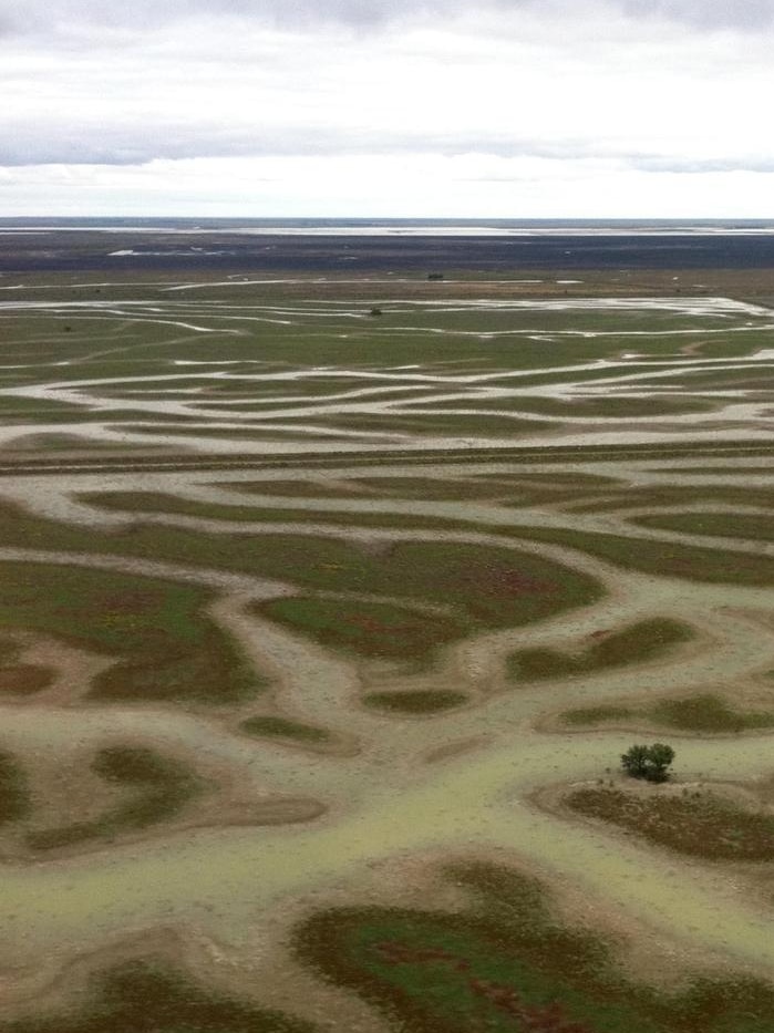 Rivulets of water snake through the Murray Darling Basin