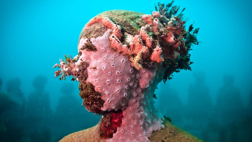 An underwater sculpture covered colourful coral.