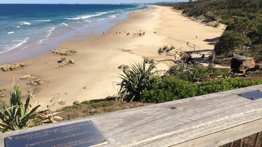 Metal plaques on barrier of lookout that's overlooking a beach