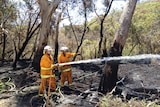 Two CFS firefighters at a blaze