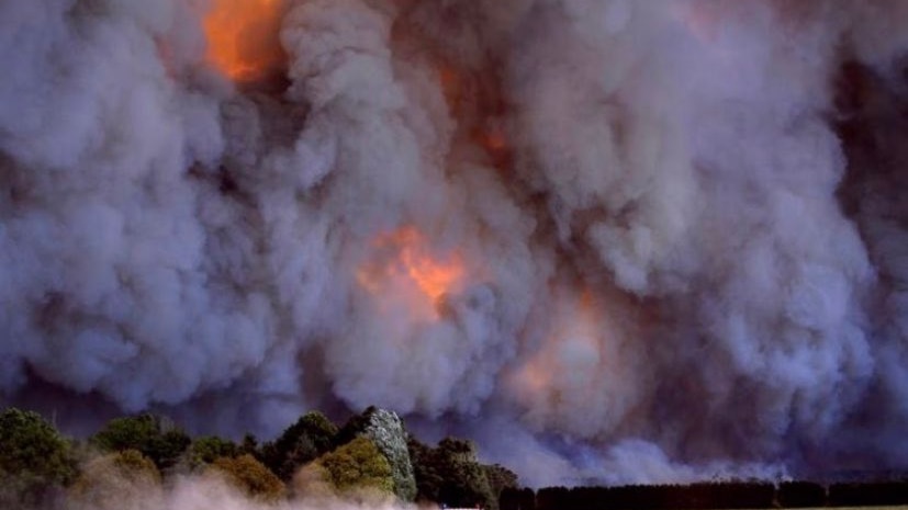 Thick smoke billows above a forest fire.