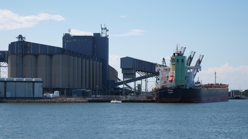 A bulk carrier docked at a major port.