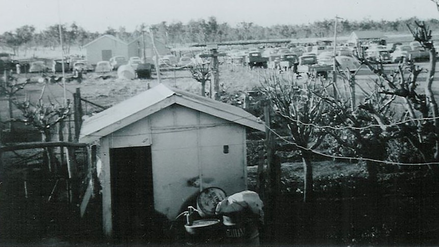 Cooladdi once held its own race meetings - this event was captured circa 1954 or 1955.