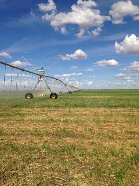 Centre pivot at Neutral Junction