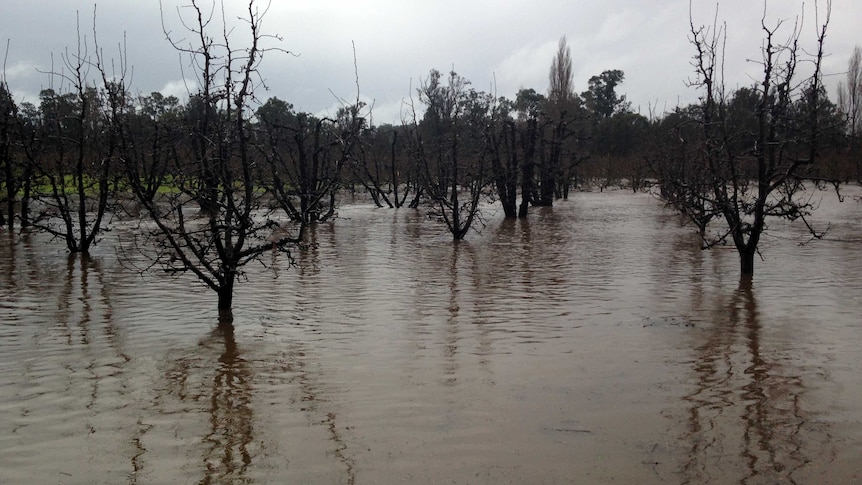 Flooding hits Donnybrook