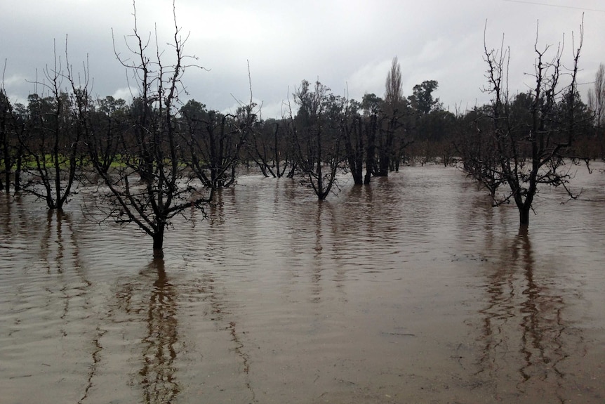 Flooding hits Donnybrook