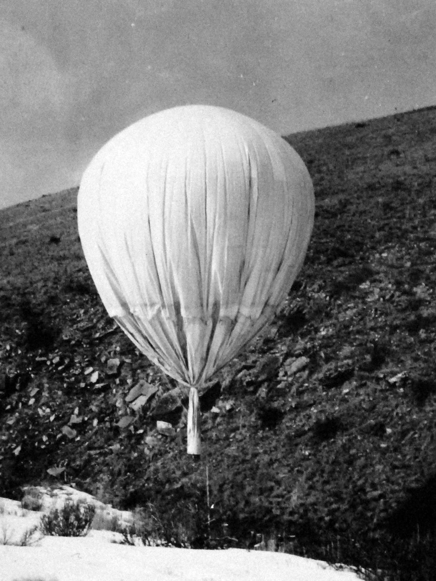 A black and white image of the  partially inflated Japanese balloon close to land. 