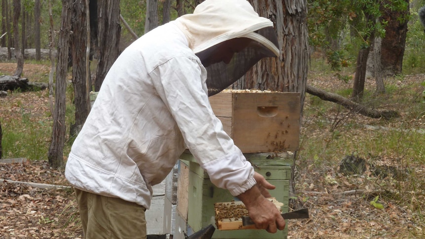 Beekeeper David Leyland
