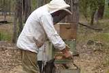 Beekeeper David Leyland