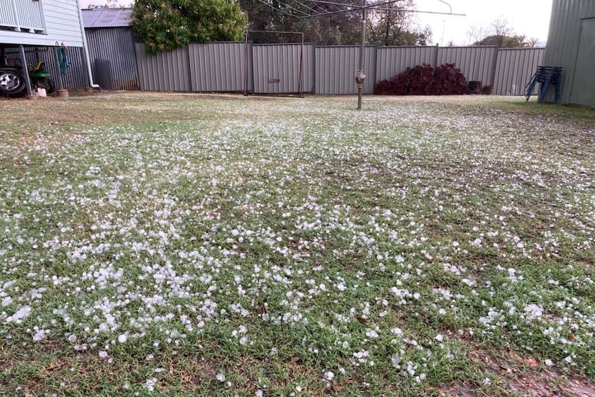 Hailstone on grass.