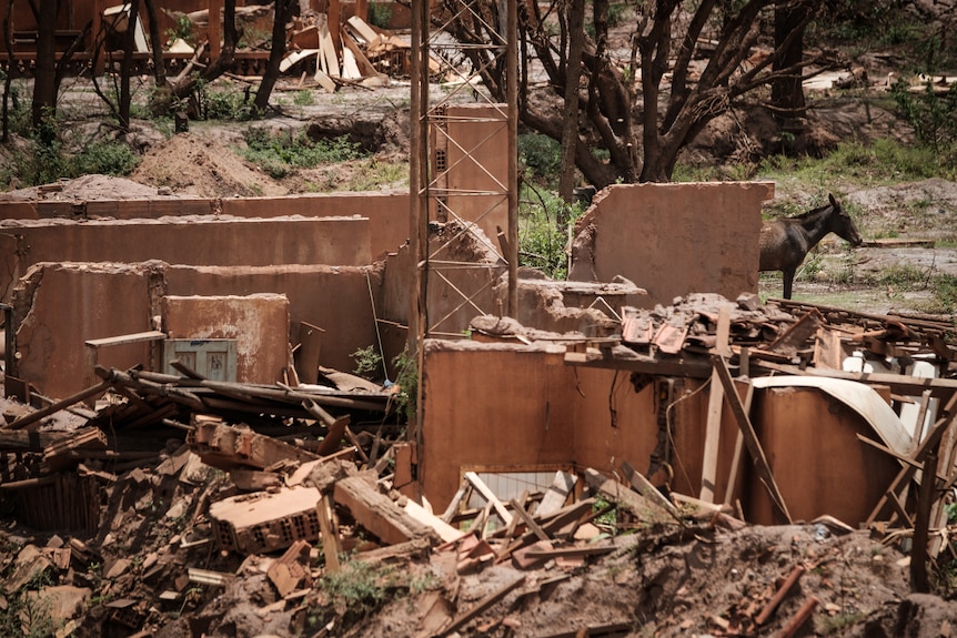 2015 年必和必拓大坝采矿废料摧毁的房屋