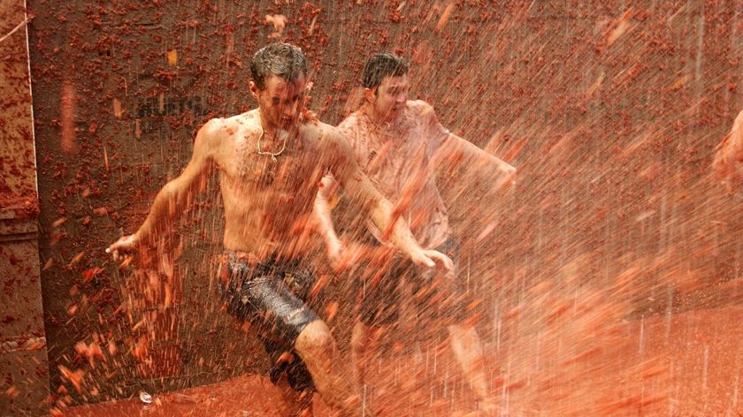 Tomatina - tomato fight