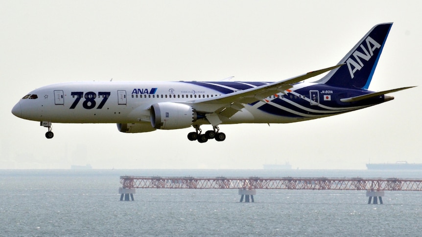 All Nippon Airways plane lands in Tokyo