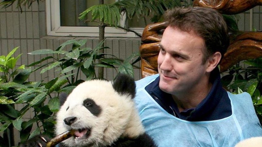 WWF chief executive Dermot O'Gorman