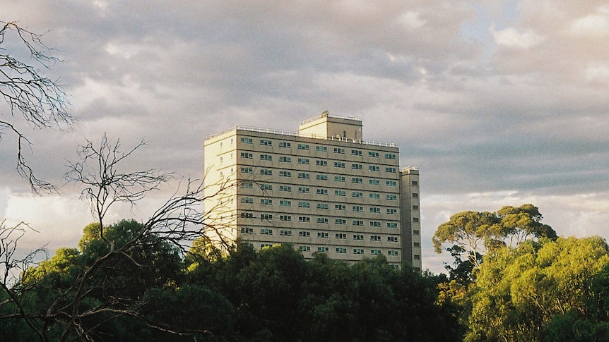 On an overcast day at sunset, you view a multi-storey high-rise housing tower standing in isolation among parkland.