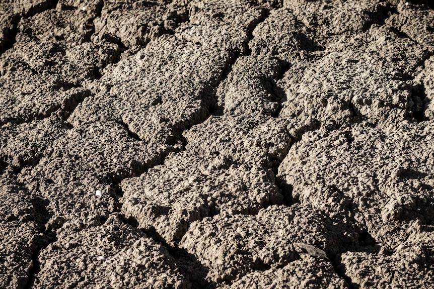 Cracked and dried up grass cover in drought-stricken rural Queensland.
