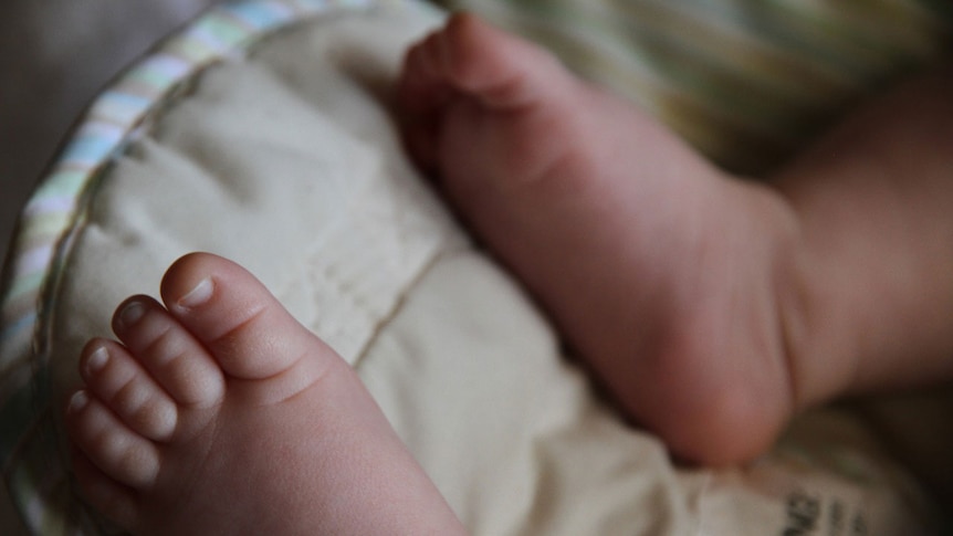 A close-up of a baby's feet.