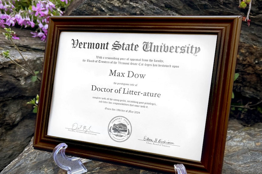 Max's degree is a Doctor of Litter-ature. 