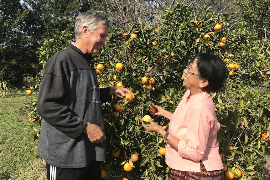 Tin and Ian by an orange tree