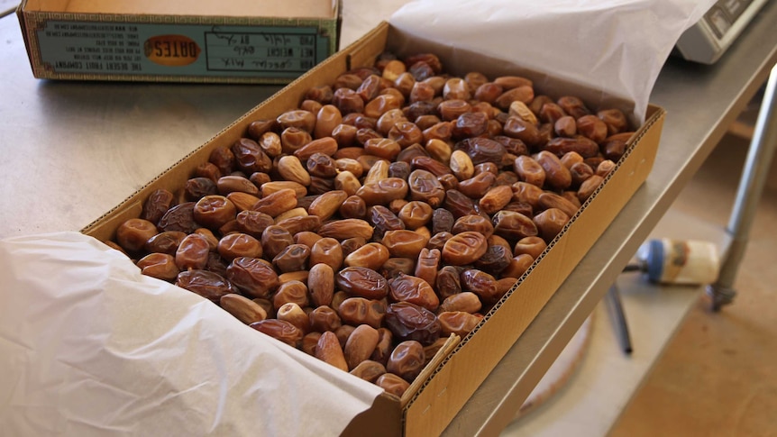 dates in a cardboard box