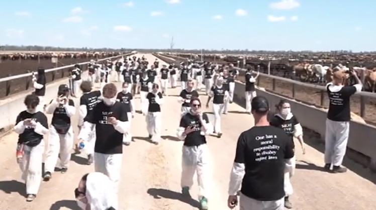 Animal rights activists on a cattle property