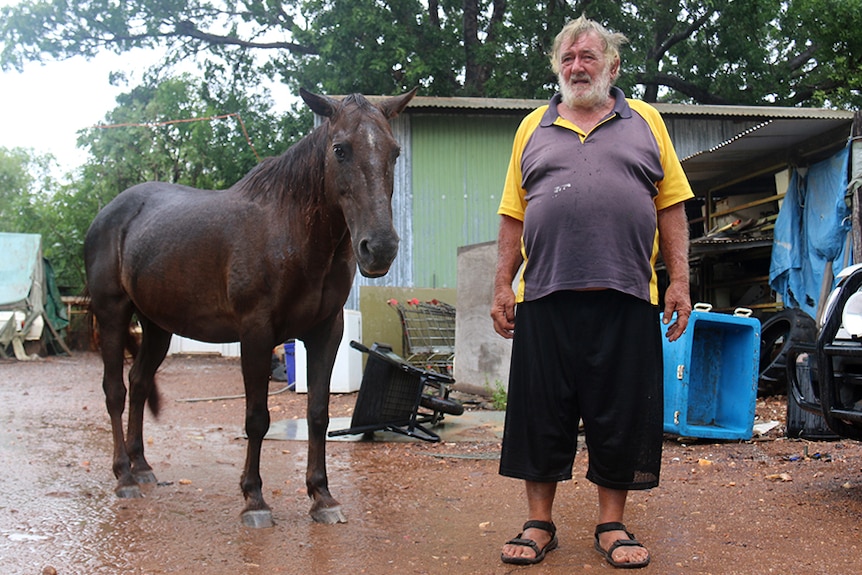 Dave Lindner has been running the buffalo farm since it was created in 1989