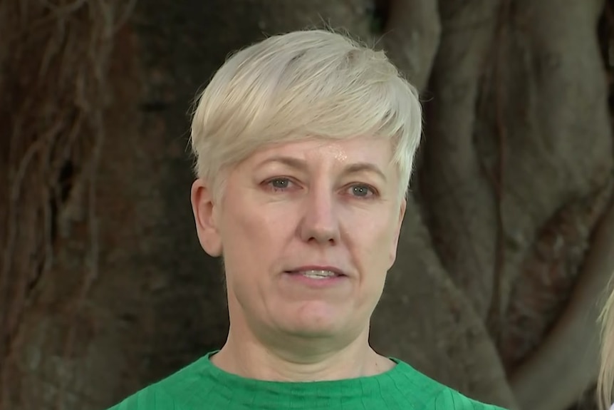 Greens MP Cate Faehrmann in a green dress 