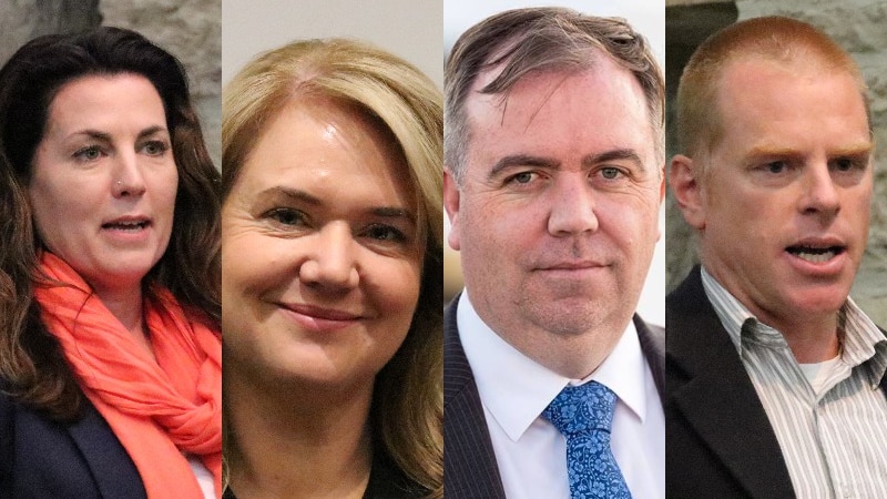 Legislative Council Nelson candidates Meg Webb, Madeleine Ogilvie, Nic Street and Vica Bayley