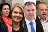 Legislative Council Nelson candidates Meg Webb, Madeleine Ogilvie, Nic Street and Vica Bayley