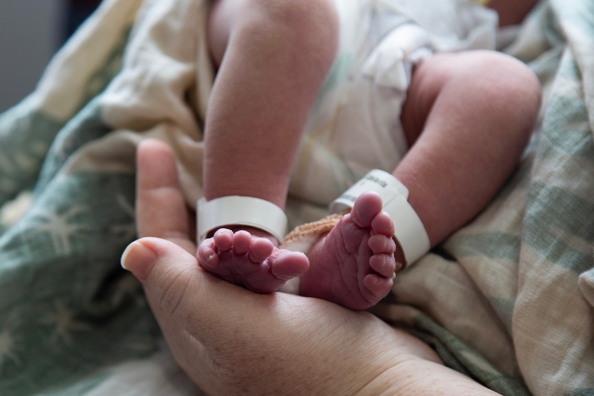 Generic photo of baby's feet in mother's hands