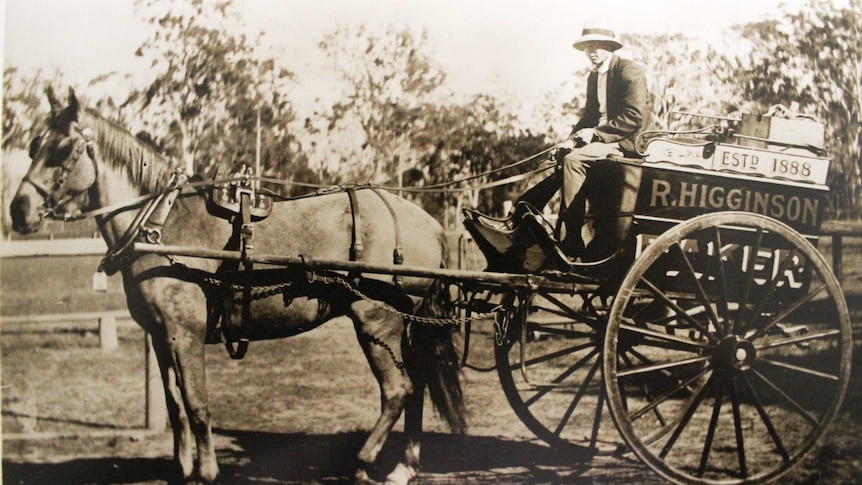 A horse and cart in Beerburrum, Queensland.