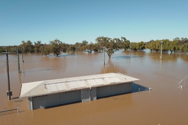 A building is partially submerged by brown floodwaters with gum trees in the distance