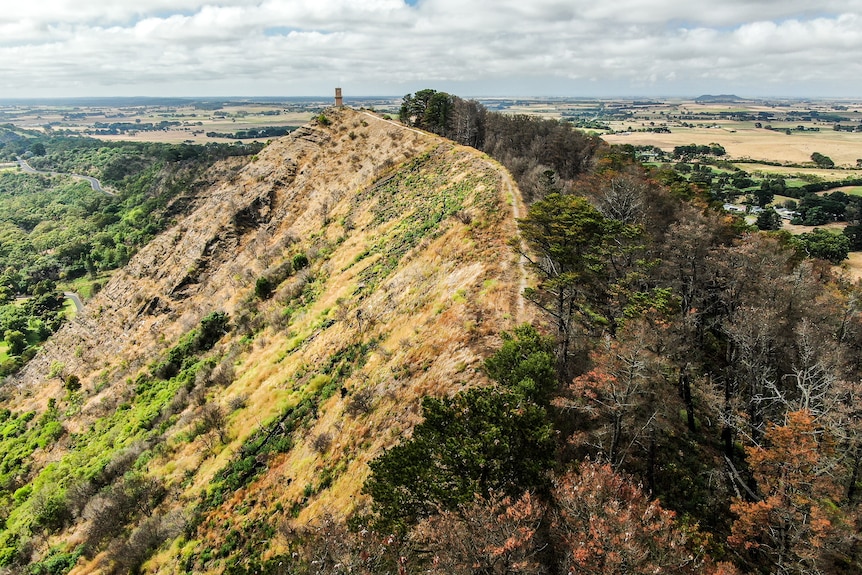 A tree lined path follows a long ridge to a stone tower atop a large hillside.