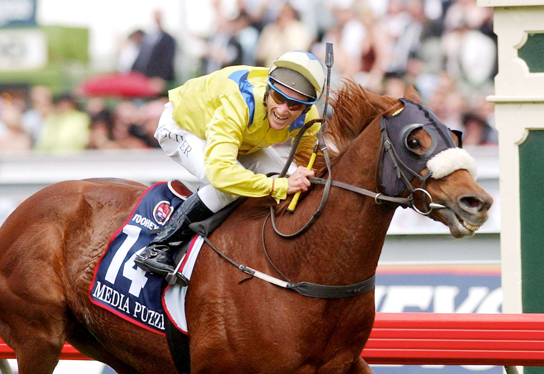 Melbourne Cup From Ireland Japan France And Germany The Internationals Who Took The Cup Home Abc News