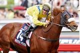 Damien Oliver and Media Puzzle win 2002 Melbourne Cup