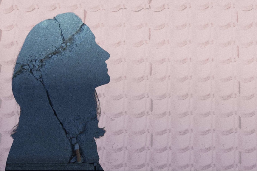 An illustration shows the silhouette of a girl against a tiled roof backdrop.