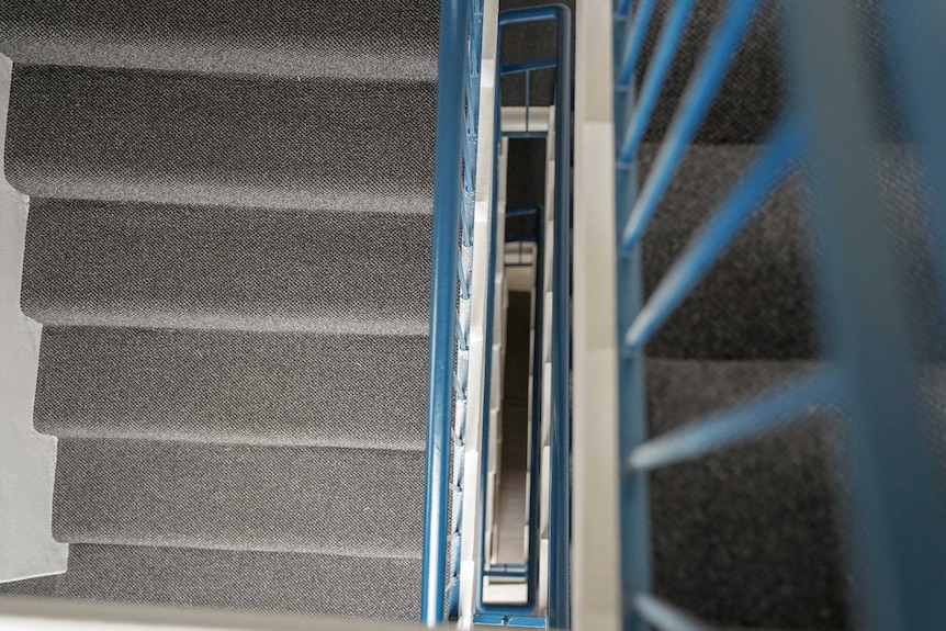 A set of grey carpet stairs in the interior of an apartment building, shot from above.
