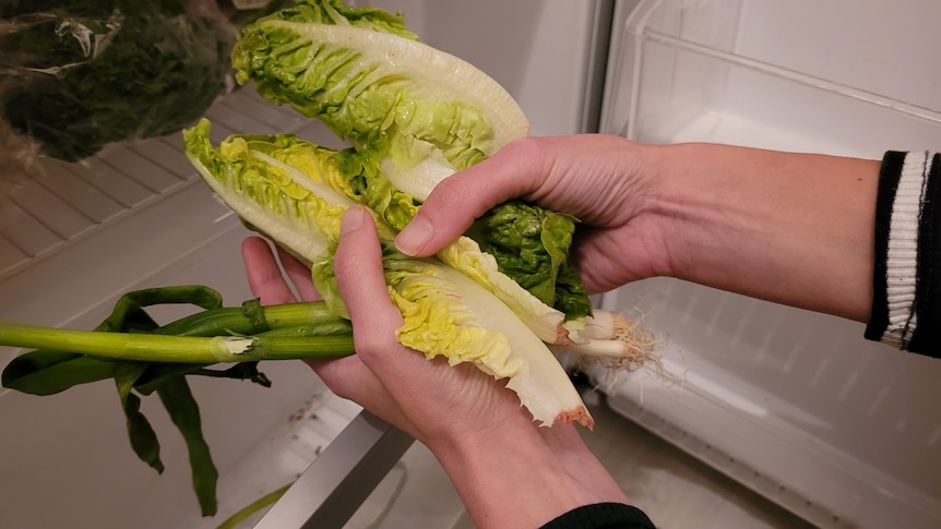 Lettuce and spring onions being held with an open fridge