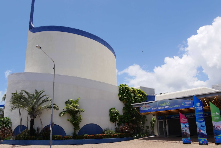 Front of white and blue reef HQ building with road and footpath with a street light