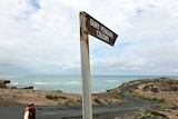 Cape Northumberland fairy penguin colony