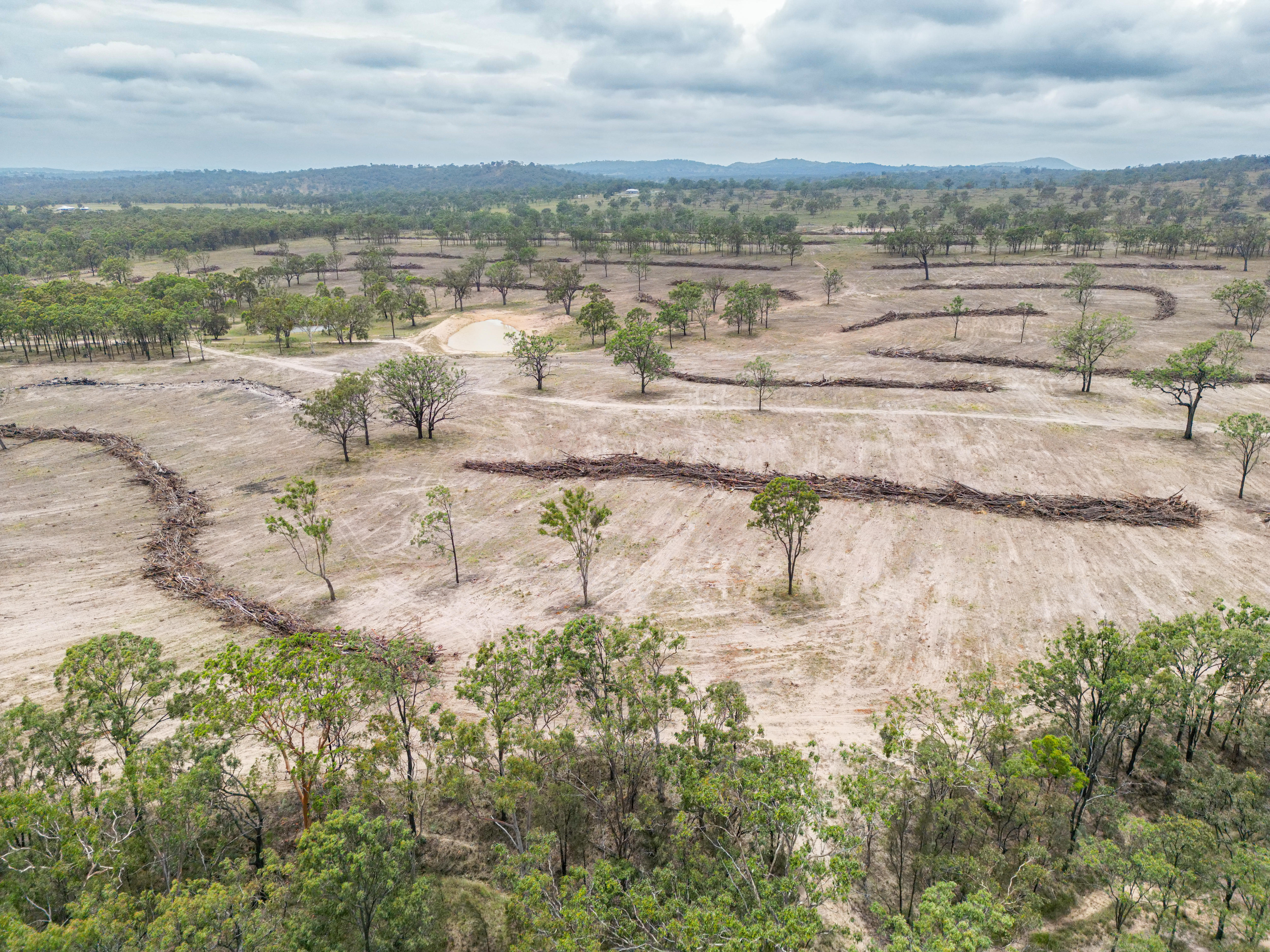 Warwick land clearing 3