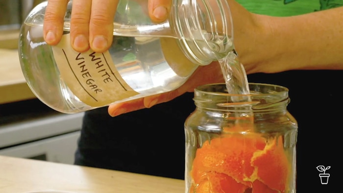 White vinegar being poured into a jar containing citrus peel.