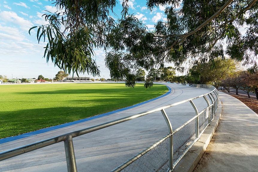 An oval with a fence around and tree leaves near the edge